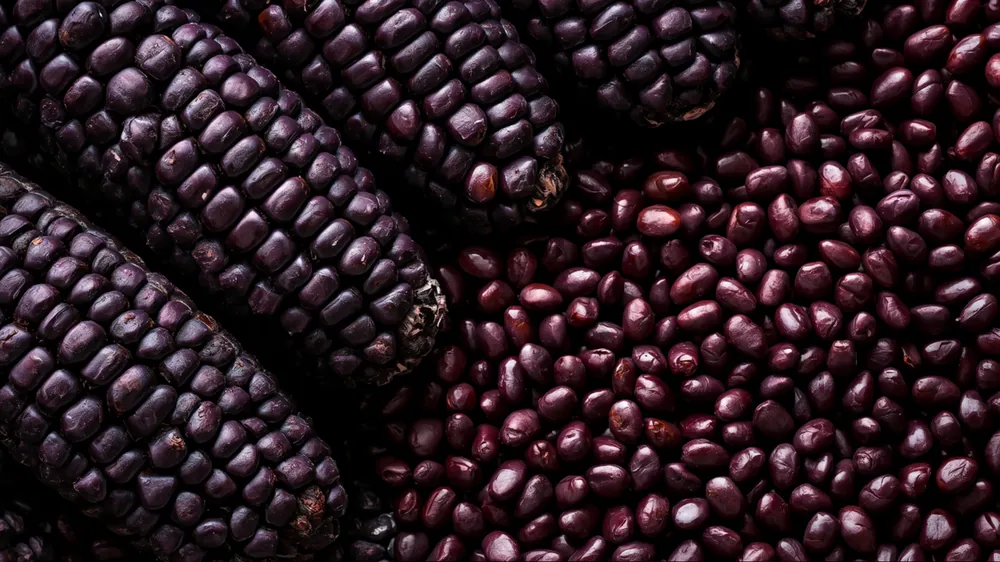 Chicha Morada